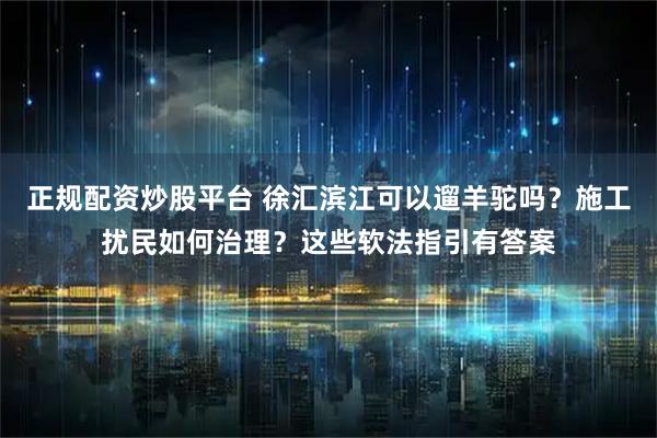 正规配资炒股平台 徐汇滨江可以遛羊驼吗？施工扰民如何治理？这些软法指引有答案