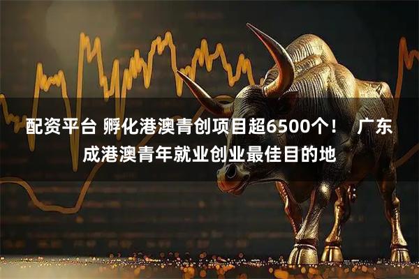配资平台 孵化港澳青创项目超6500个！  广东成港澳青年就业创业最佳目的地