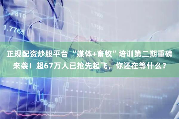 正规配资炒股平台 “媒体+畜牧”培训第二期重磅来袭！超67万人已抢先起飞，你还在等什么？