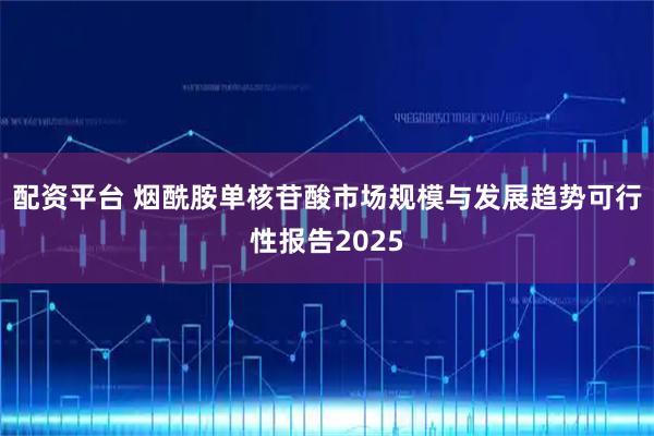 配资平台 烟酰胺单核苷酸市场规模与发展趋势可行性报告2025