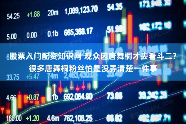股票入门配资知识网 观众因唐舞桐才去看斗二?很多唐舞桐粉丝怕是没弄清楚一件事