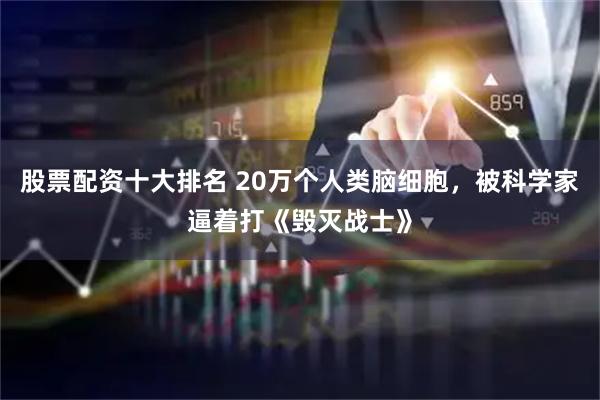 股票配资十大排名 20万个人类脑细胞，被科学家逼着打《毁灭战士》