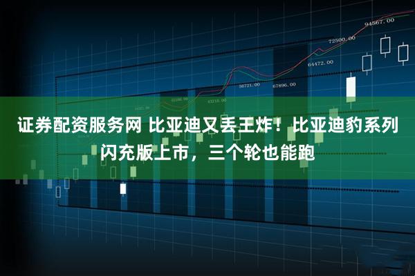 证券配资服务网 比亚迪又丢王炸！比亚迪豹系列闪充版上市，三个轮也能跑